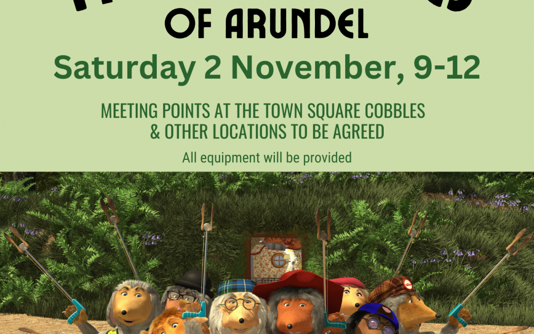 THE WOMBLES OF ARUNDEL COMMUNITY LITTER PICK